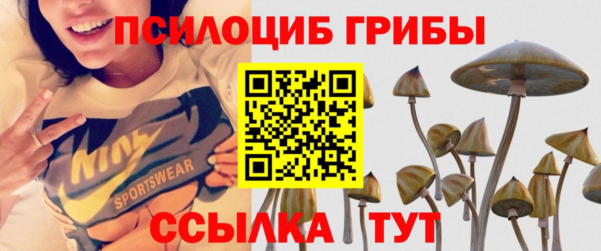 Галлюциногенные грибы Psilocybe  Вход с VPN  Электрогорск 